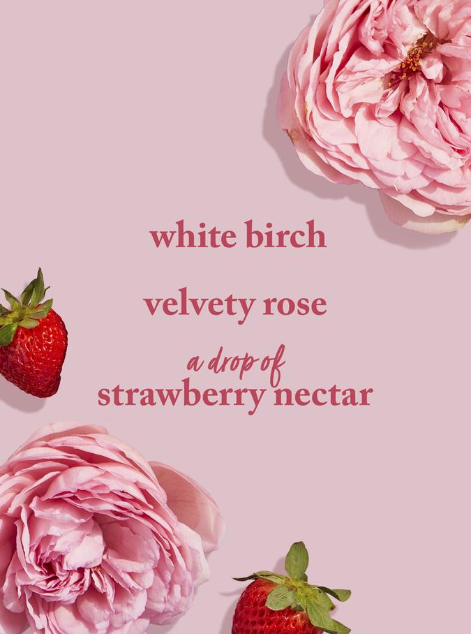 Bath & Body Works You're the One Mist Splash Juice