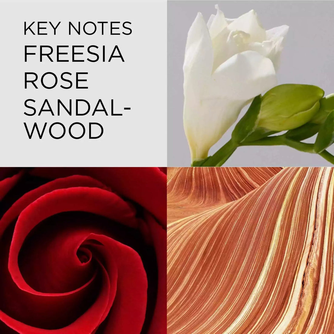 Red Door Eau de Toilette for Women 100 ml