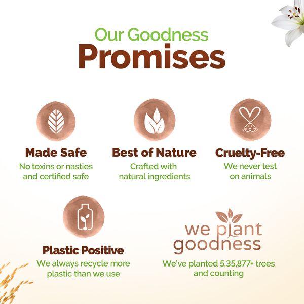 Mamaearth Daily Moisturizing Body Wash